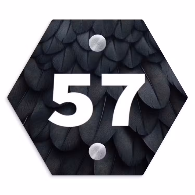 Naambordje voordeur - Hexagon - Zwarte veren - Traditioneel — 1