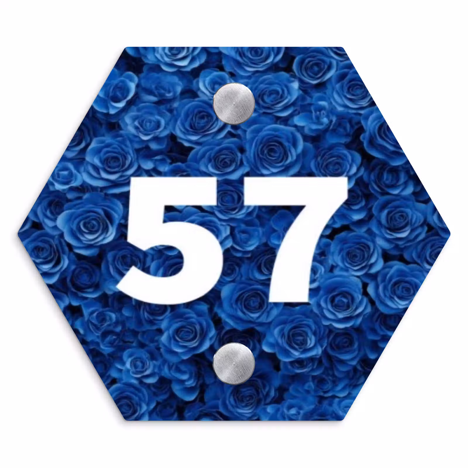 Naambordje voordeur - Hexagon - Blauwe rozen - Traditioneel — 1