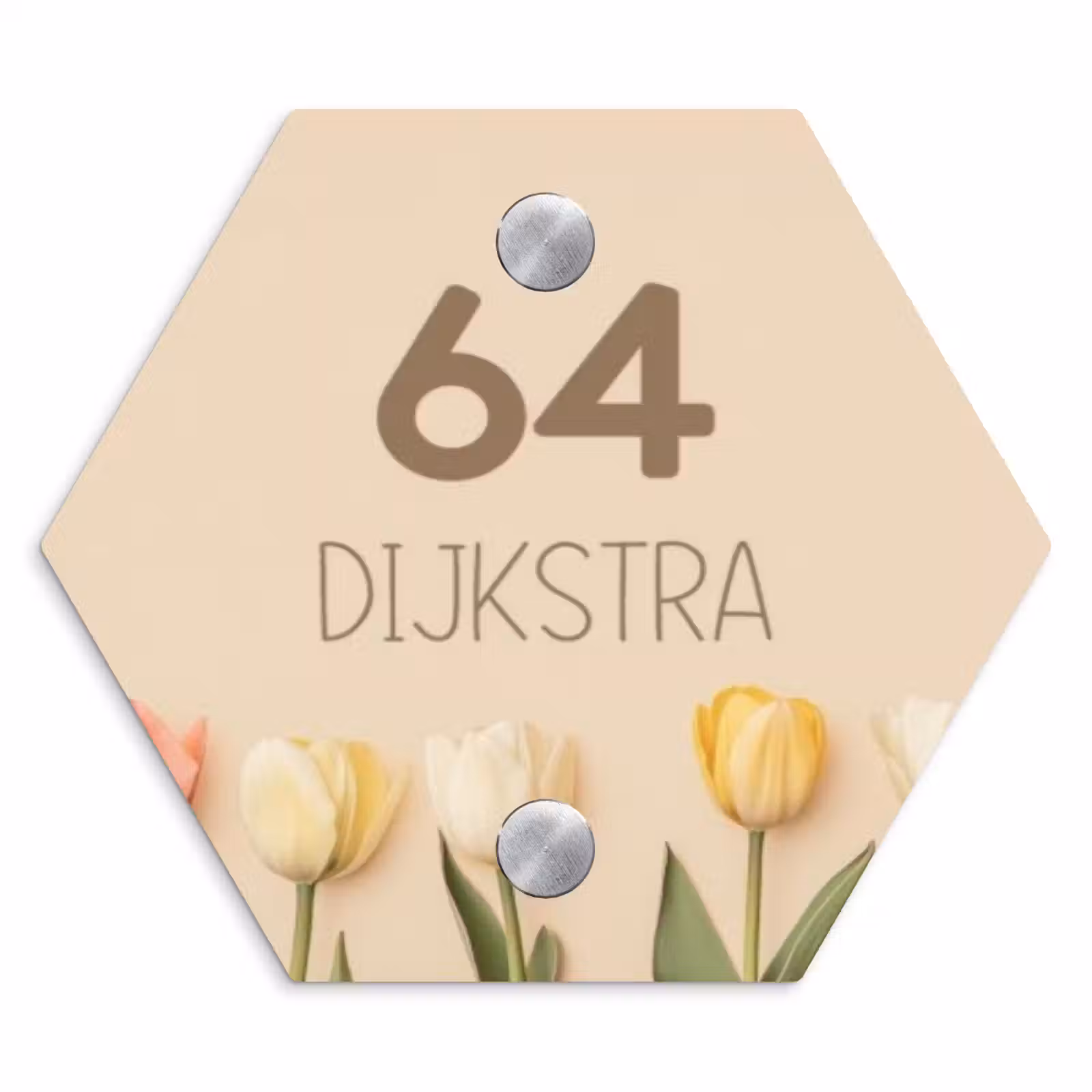 Naambordje voordeur - Hexagon - Gekleurde tulpen beige achtergrond - Modern — 1