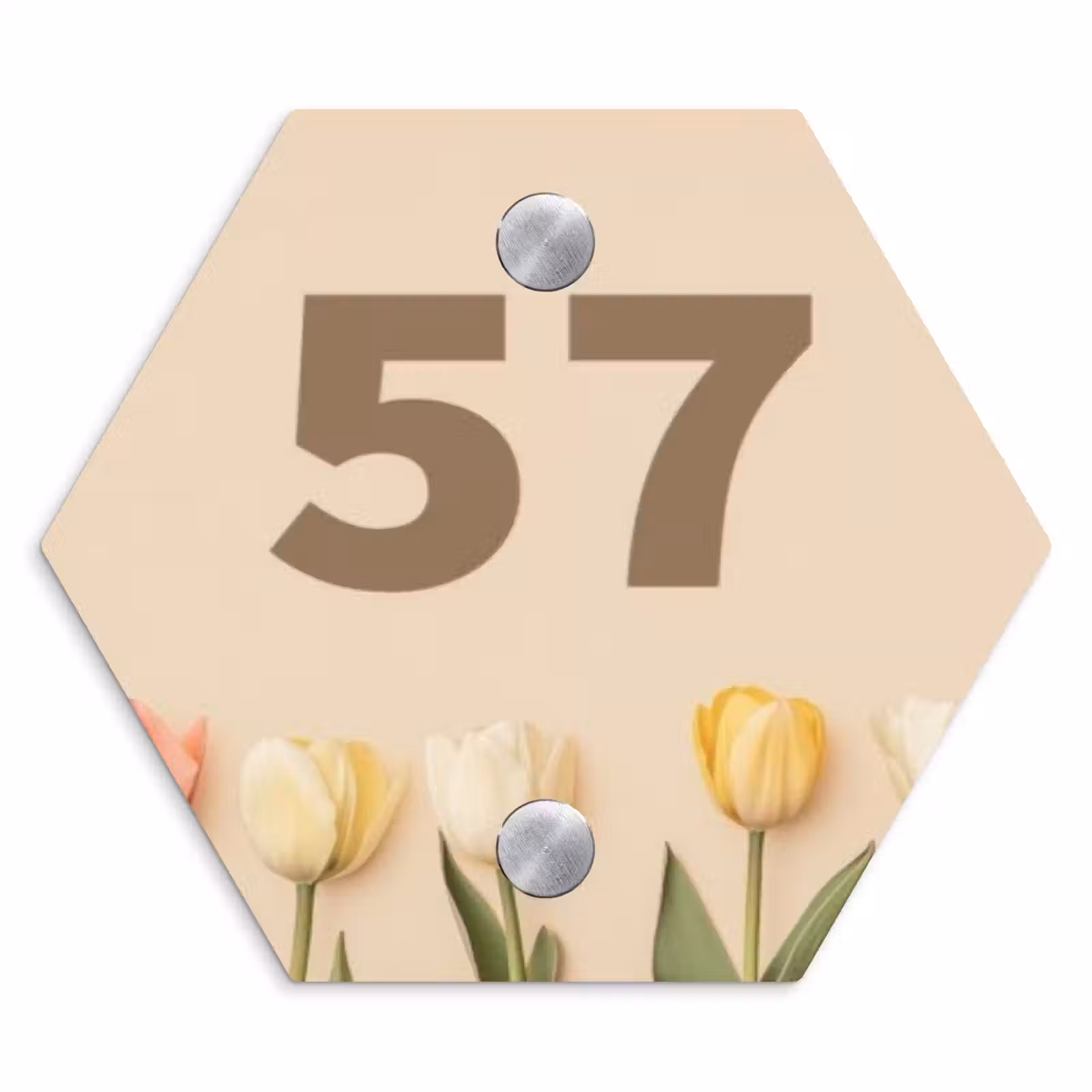 Naambordje voordeur - Hexagon - Gekleurde tulpen beige achtergrond - Traditioneel — 1