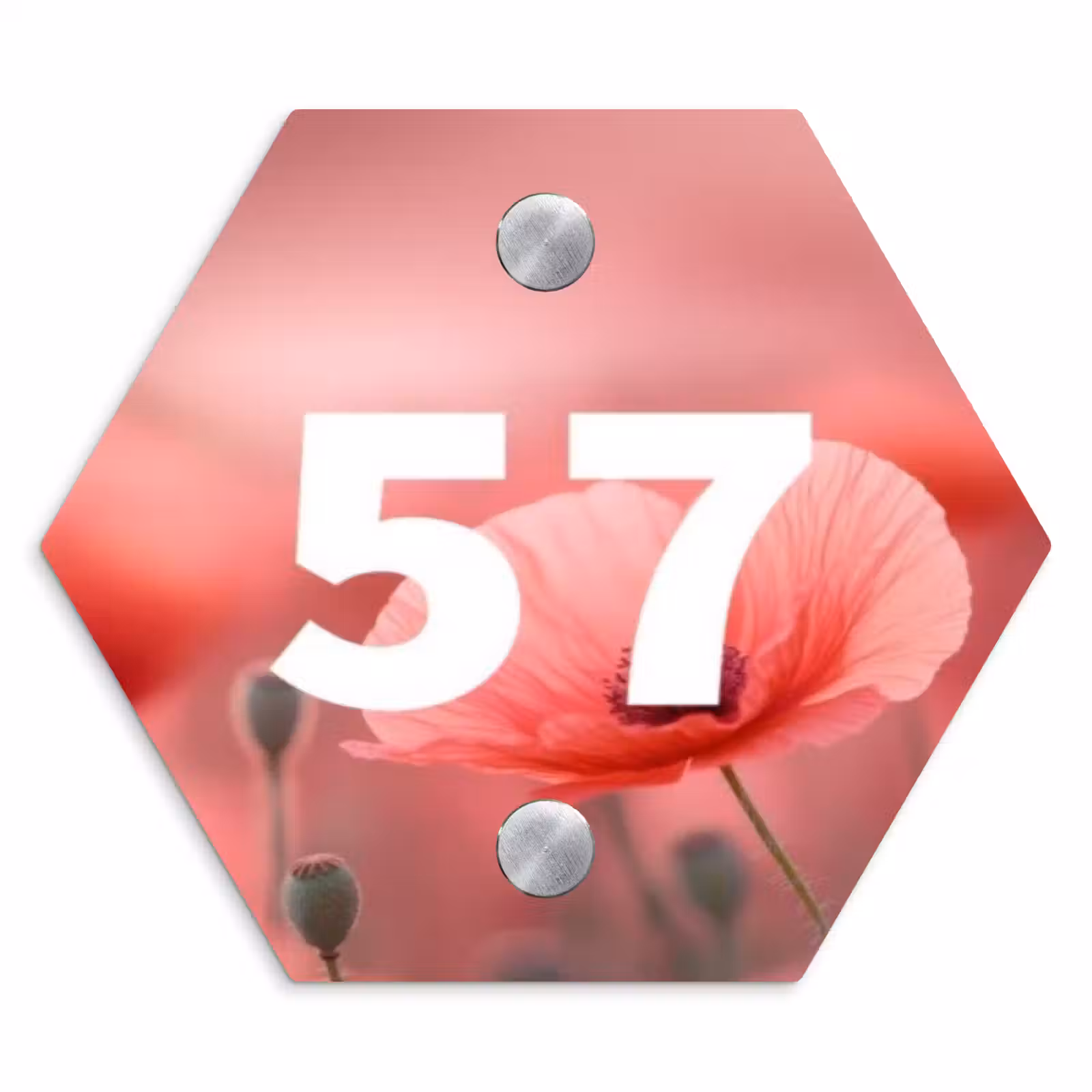 Naambordje voordeur - Hexagon - Klaproos - Traditioneel — 1