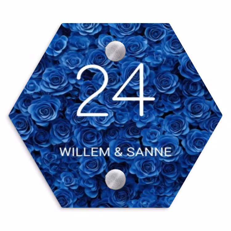 Naambordje voordeur - Hexagon - Blauwe rozen - Klassiek — 1