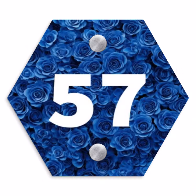 Naambordje voordeur - Hexagon - Blauwe rozen - Traditioneel — 1
