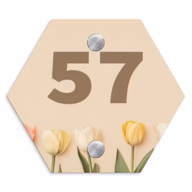 Naambordje voordeur - Hexagon - Gekleurde tulpen beige achtergrond - Traditioneel — 1
