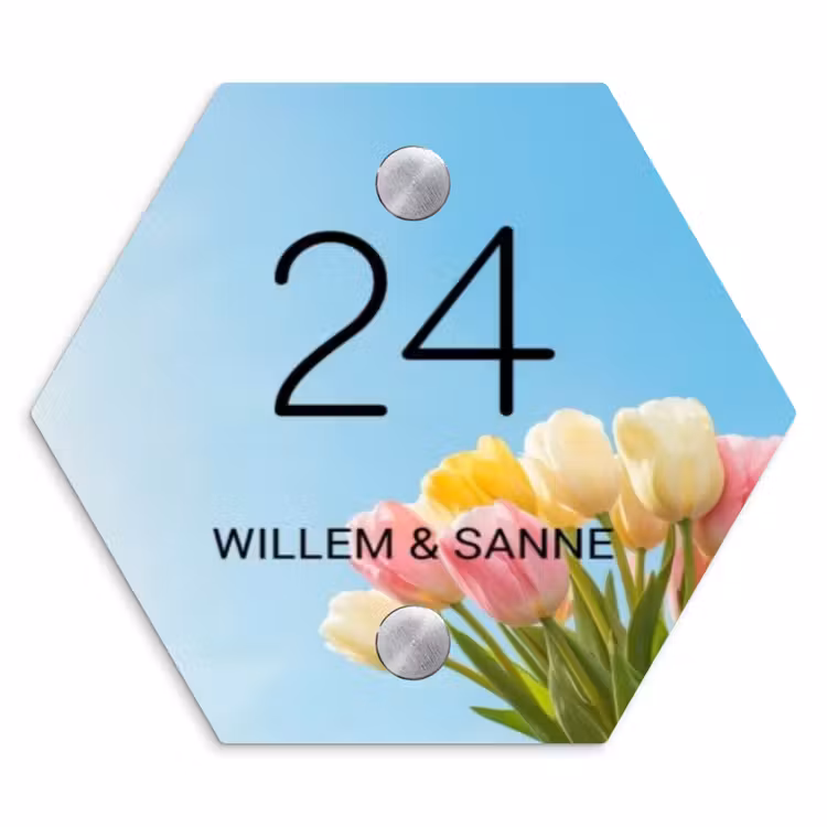 Naambordje voordeur - Hexagon - Gekleurde tulpen lucht - Klassiek — 1