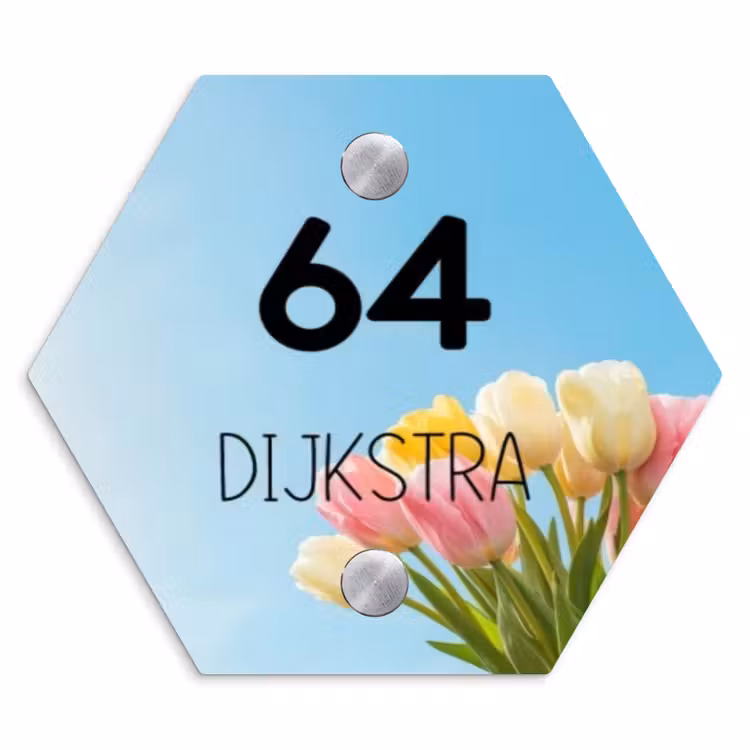 Naambordje voordeur - Hexagon - Gekleurde tulpen lucht - Modern — 1