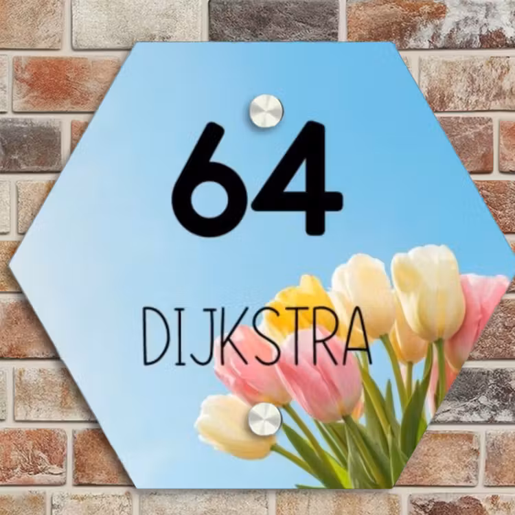 Naambordje voordeur - Hexagon - Gekleurde tulpen lucht - Modern — 4