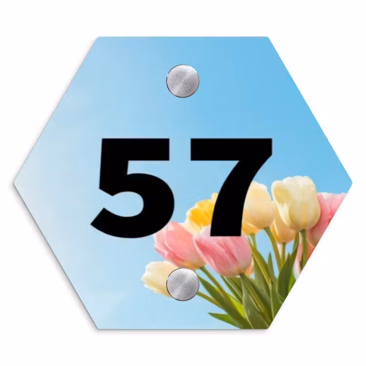 Naambordje voordeur - Hexagon - Gekleurde tulpen lucht - Traditioneel — 1