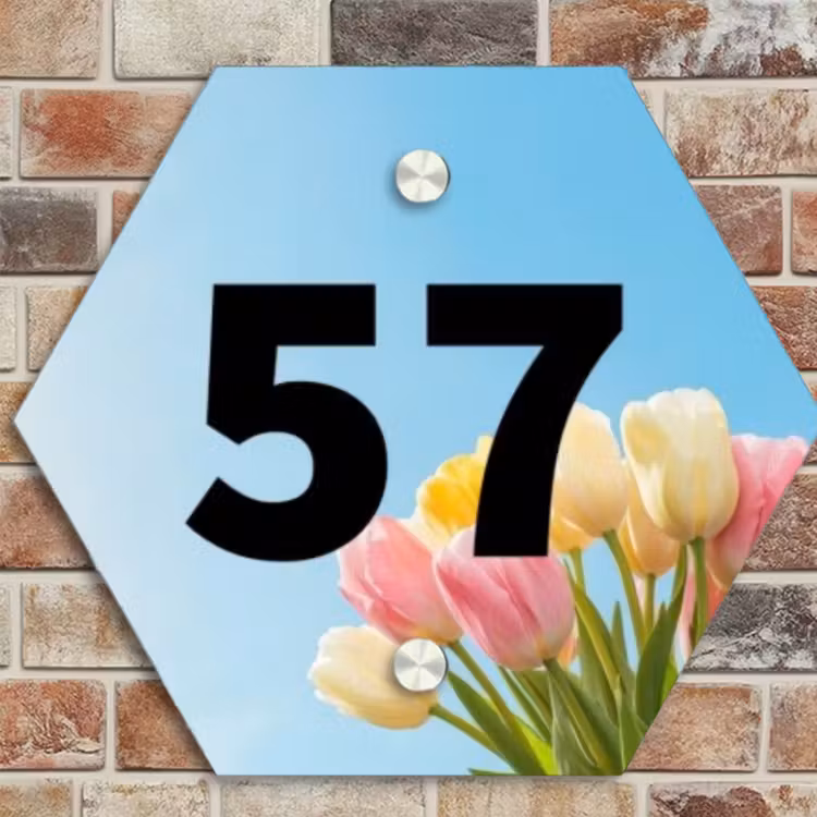 Naambordje voordeur - Hexagon - Gekleurde tulpen lucht - Traditioneel — 4