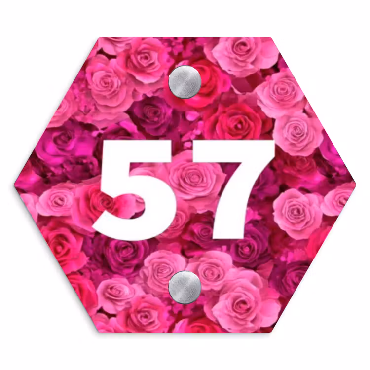 Naambordje voordeur - Hexagon - Roze rozen - Traditioneel — 1
