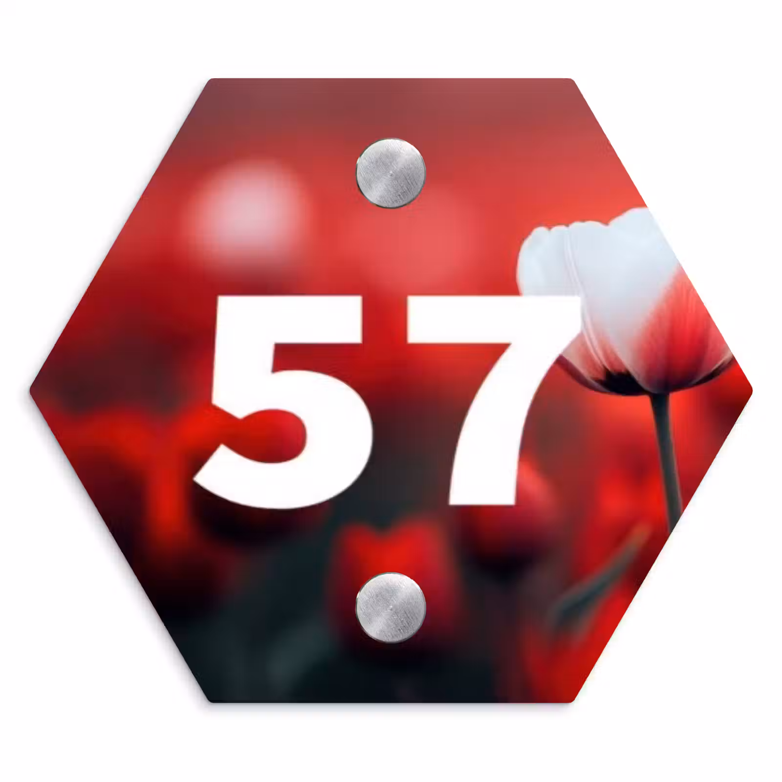Naambordje voordeur - Hexagon - Rode tulpen - Traditioneel — 1