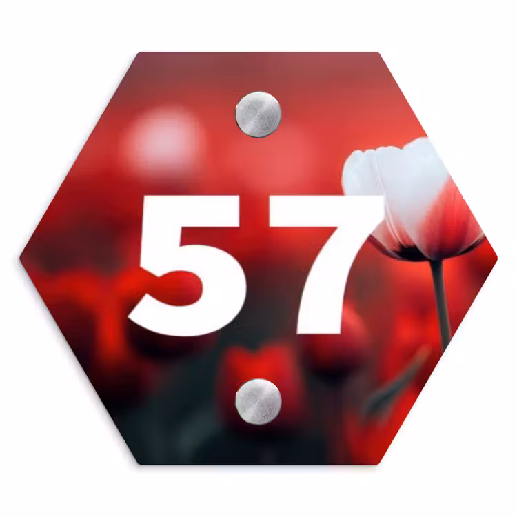 Naambordje voordeur - Hexagon - Rode tulpen - Traditioneel — 1