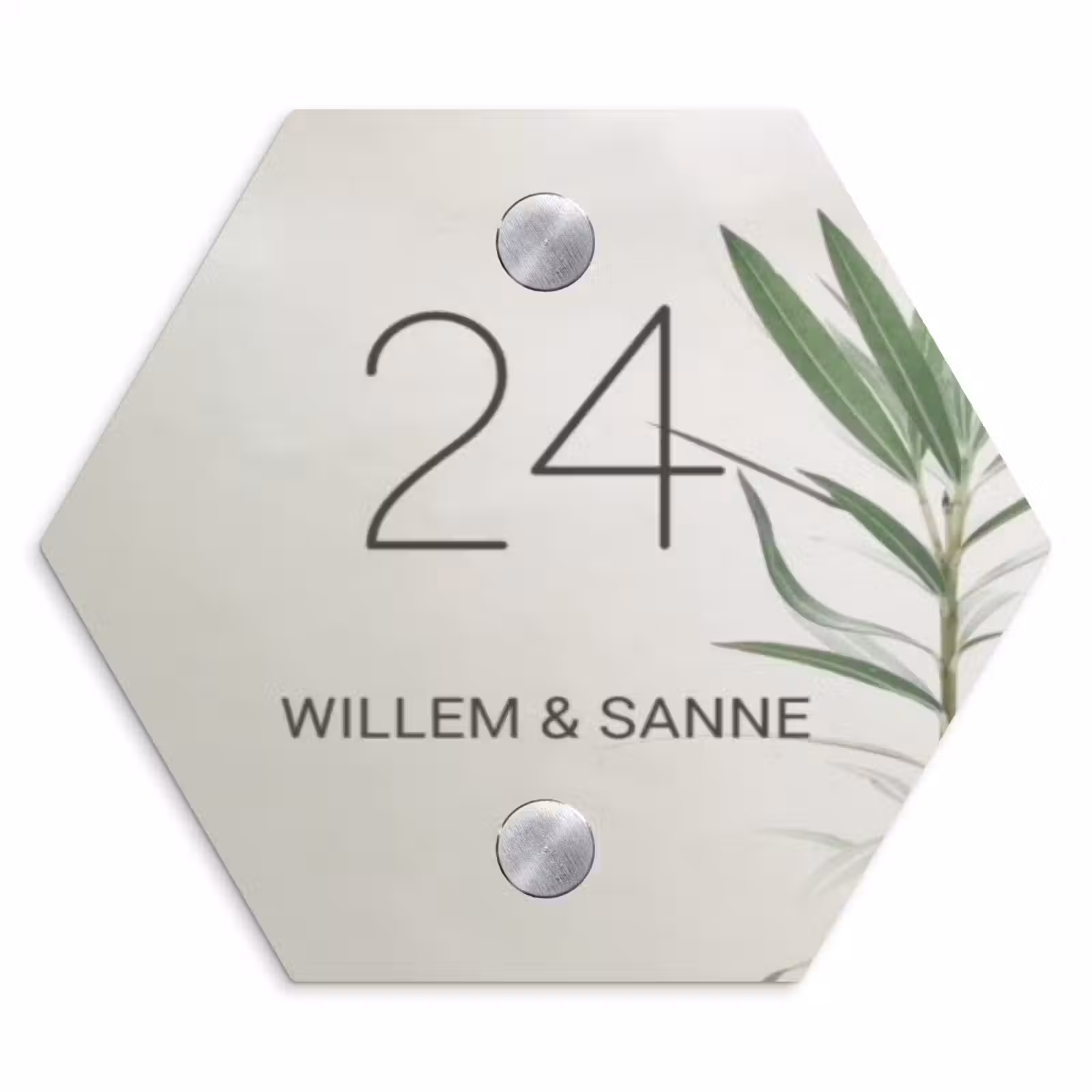 Naambordje voordeur - Hexagon - Lichtbeige met plant - Klassiek — 1
