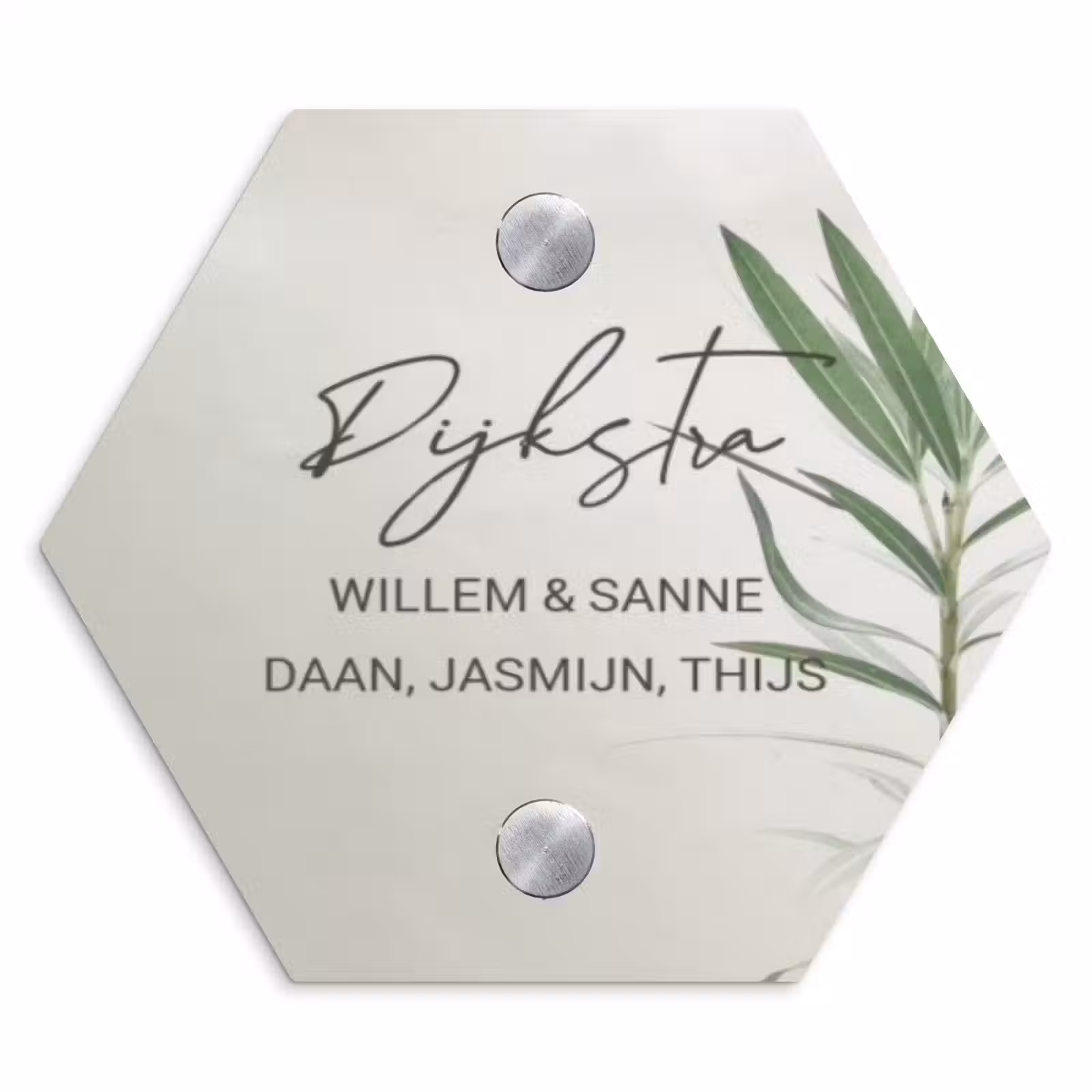 Naambordje voordeur - Hexagon - Lichtbeige met plant - Sierlijk — 1