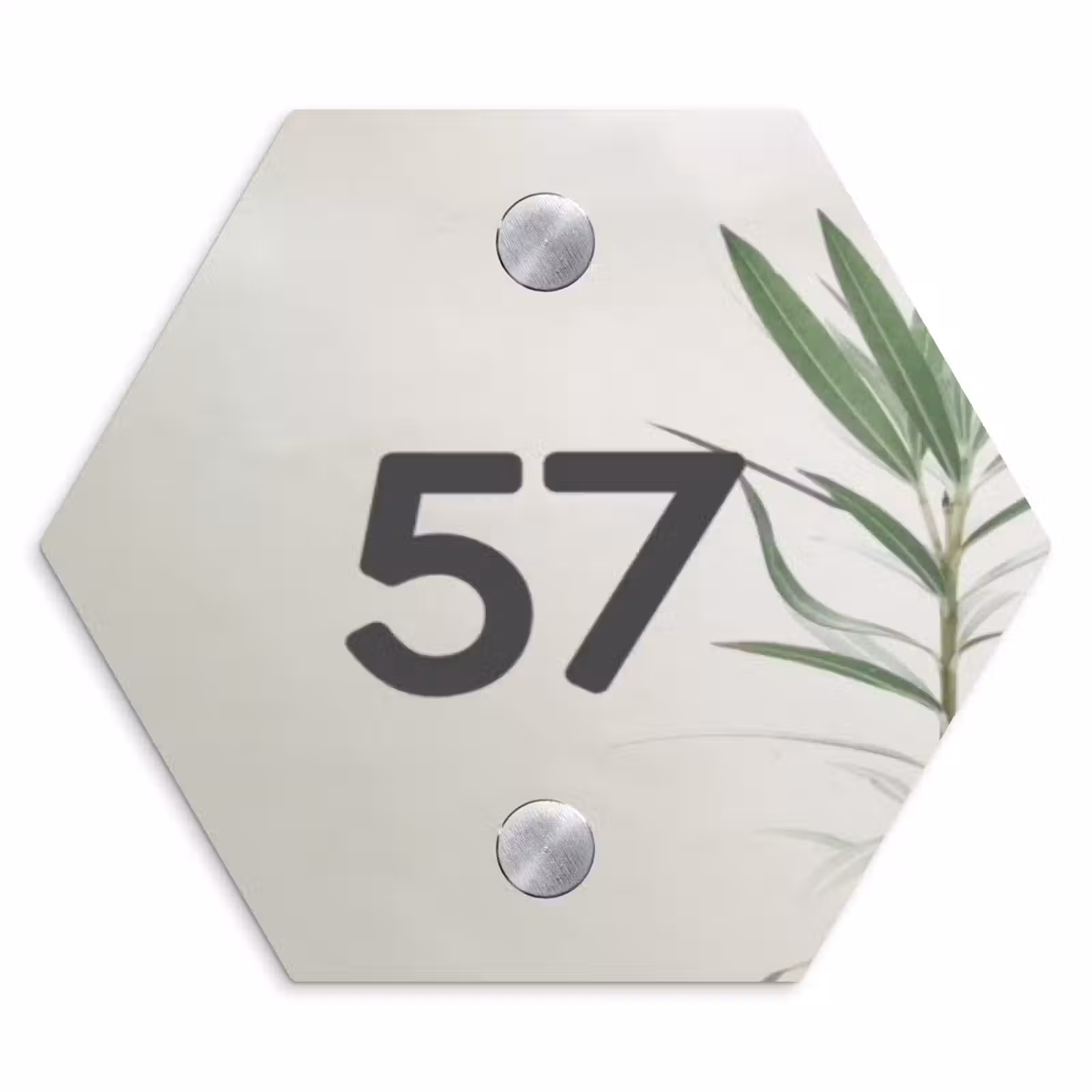 Naambordje voordeur - Hexagon - Lichtbeige met plant - Traditioneel — 1