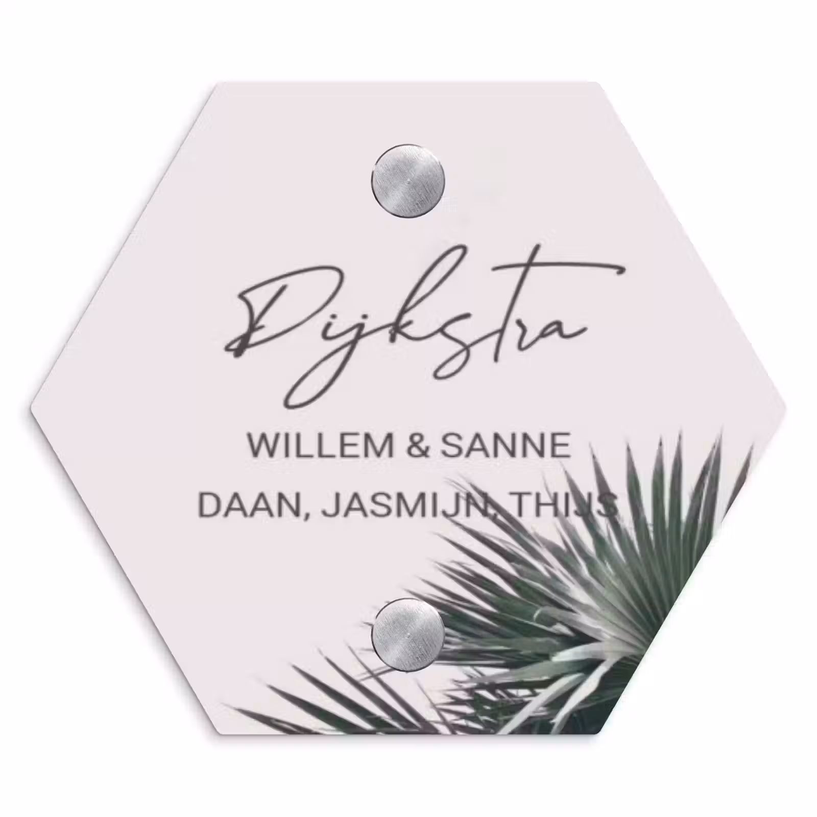 Naambordje voordeur - Hexagon - Lichtroze met palmblad - Sierlijk — 1