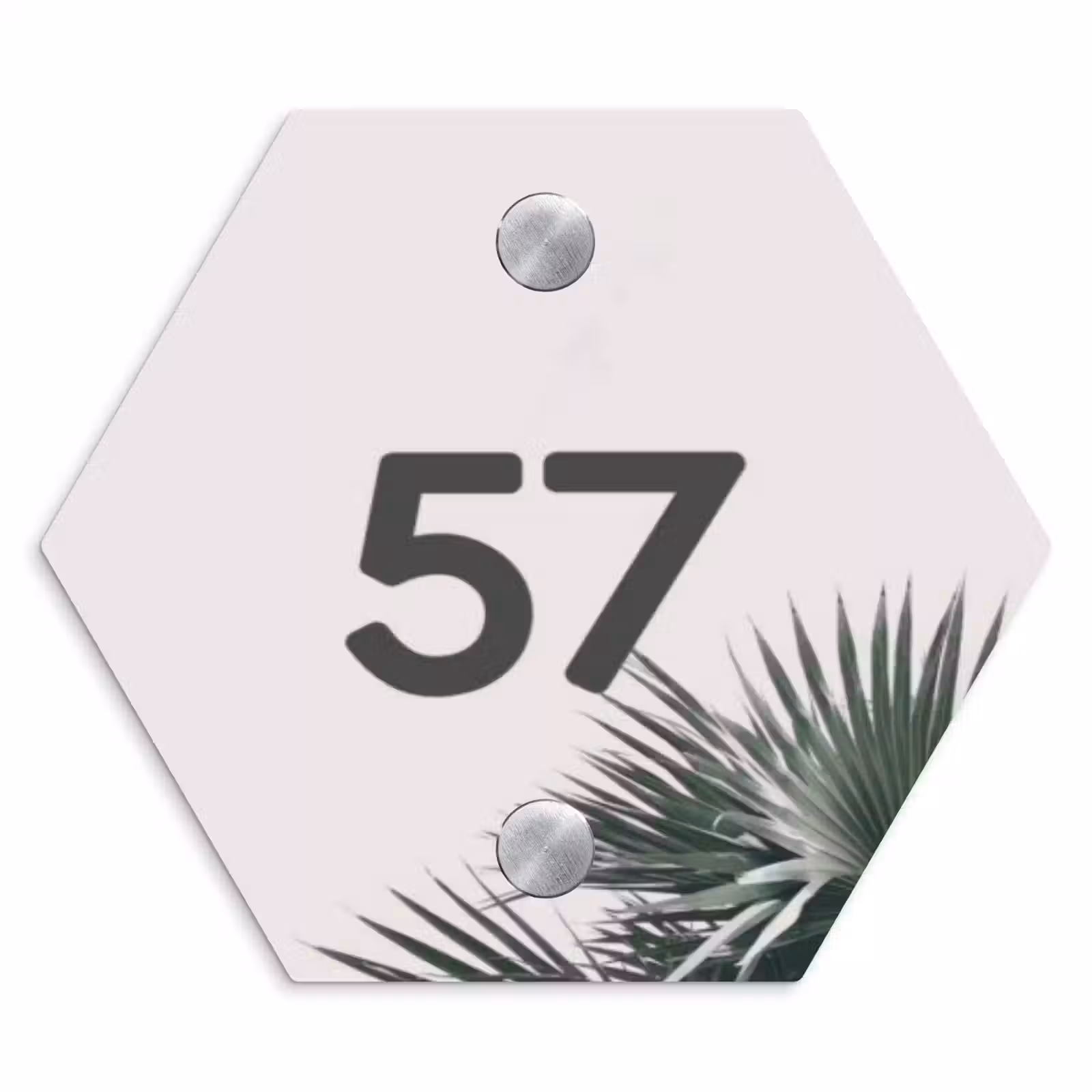 Naambordje voordeur - Hexagon - Lichtroze met palmblad - Traditioneel — 1