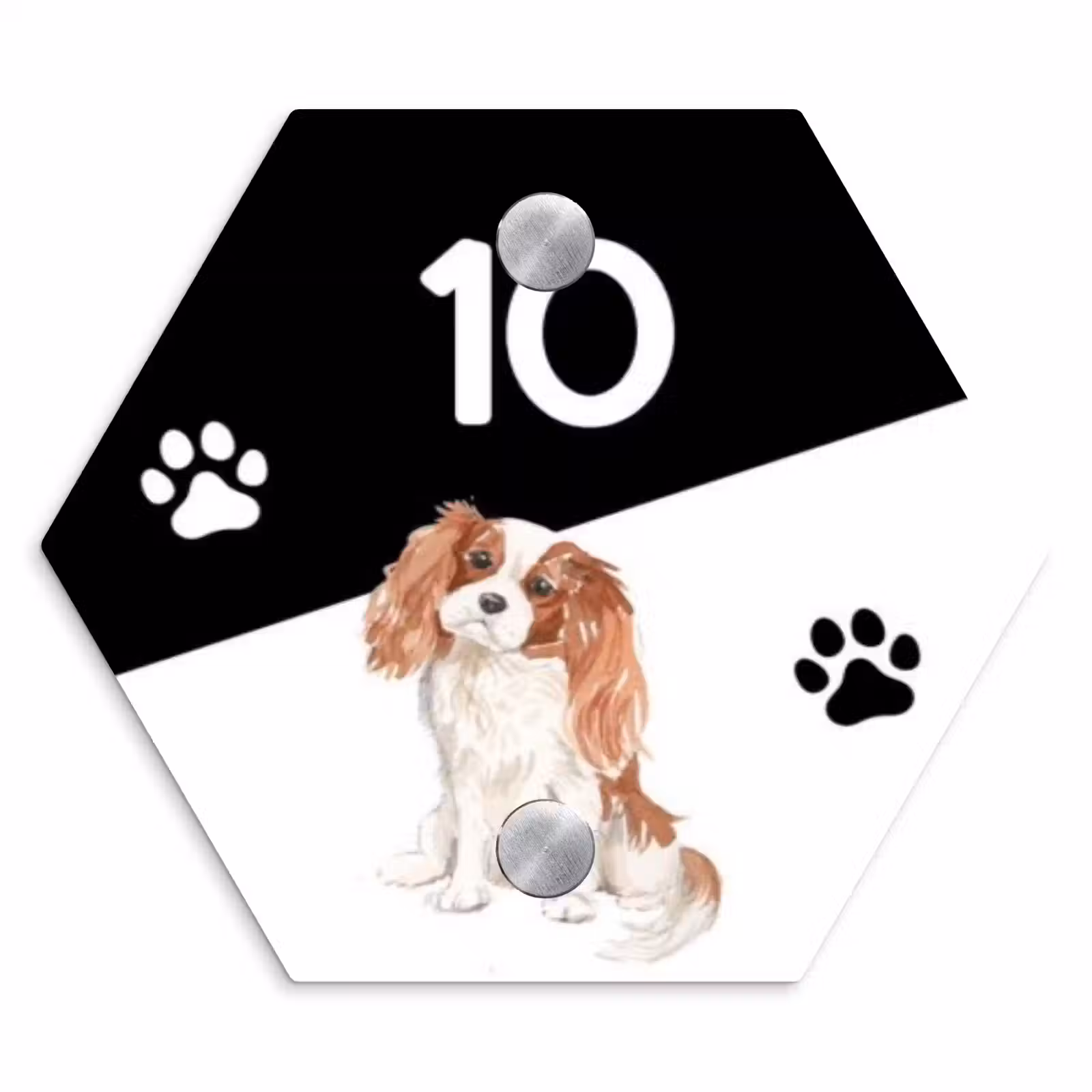 Naambordje voordeur - Hexagon - Zwart wit - Huisdier - Cavalier King Charles Spaniël — 1