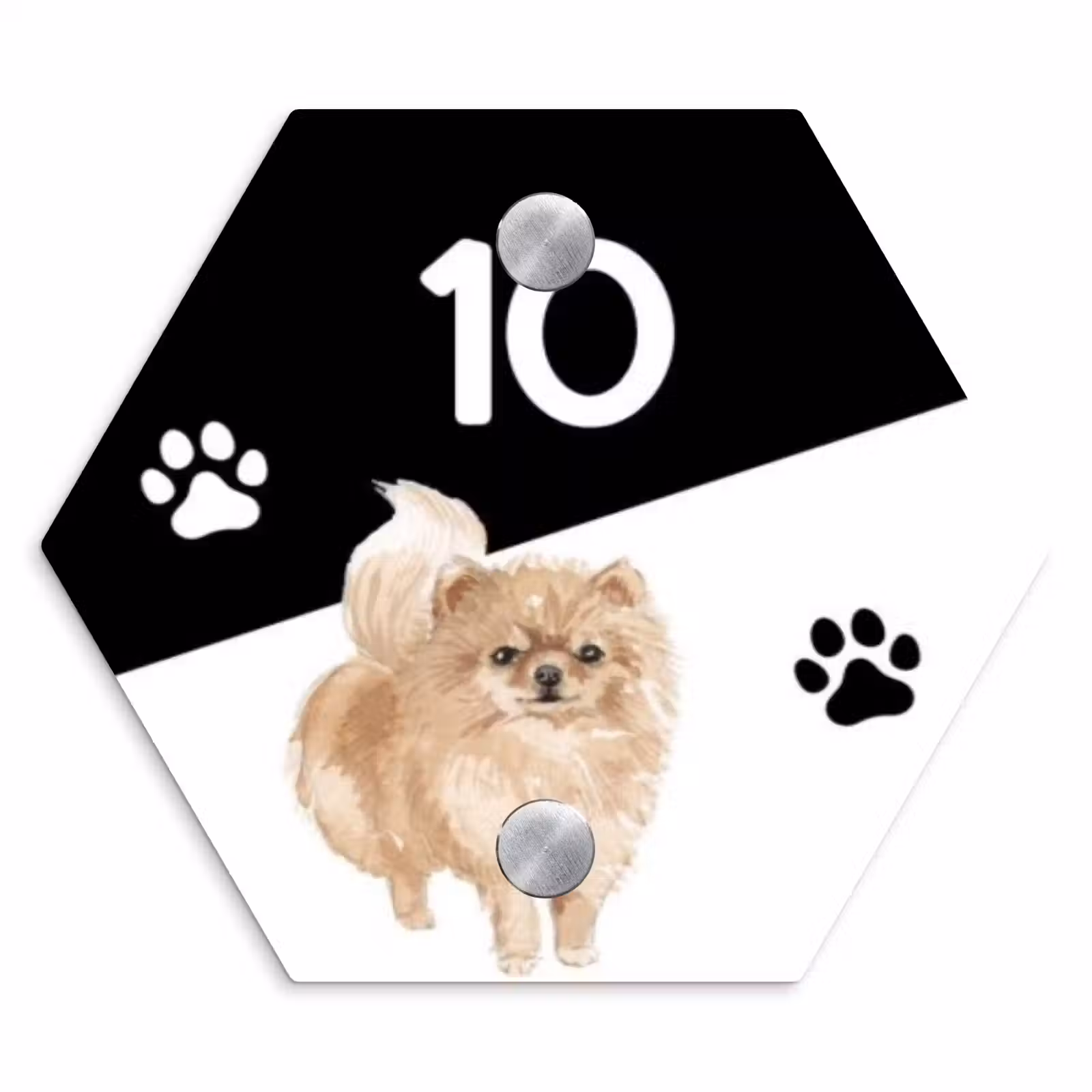 Naambordje voordeur - Hexagon - Zwart wit - Huisdier - Pomeranian — 1