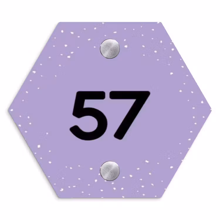 Naambordje voordeur - Hexagon - Paars met stippen - Traditioneel — 1