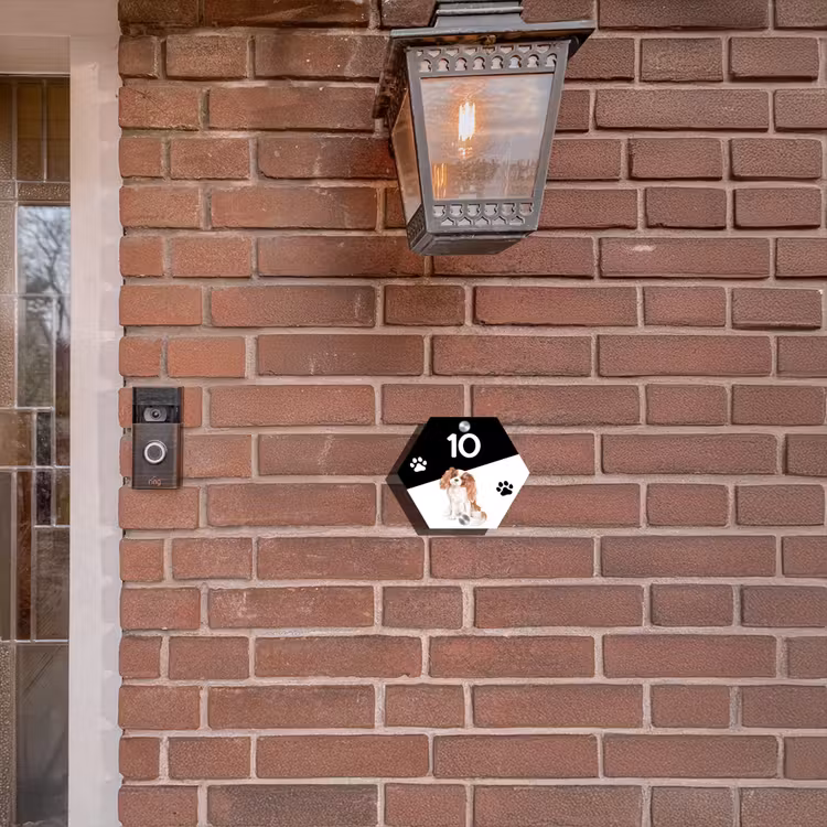 Naambordje voordeur - Hexagon - Zwart wit - Huisdier - Cavalier King Charles Spaniël — 3
