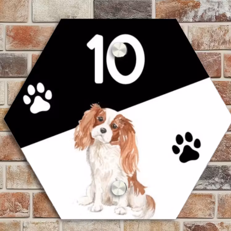 Naambordje voordeur - Hexagon - Zwart wit - Huisdier - Cavalier King Charles Spaniël — 4