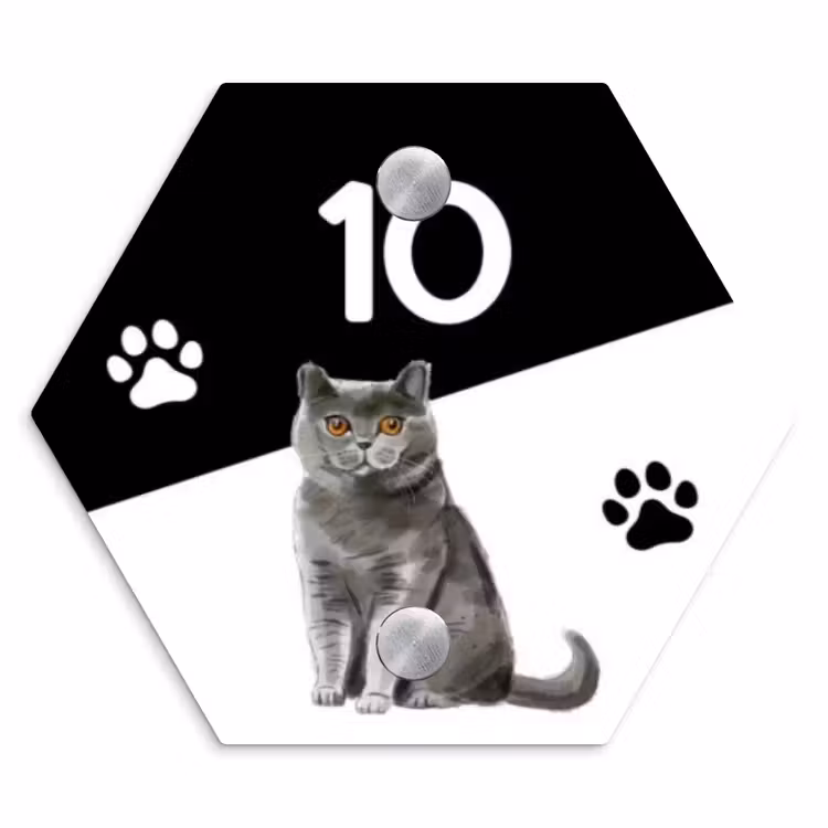 Naambordje voordeur - Hexagon - Zwart wit - Huisdier - Grijze kat — 1