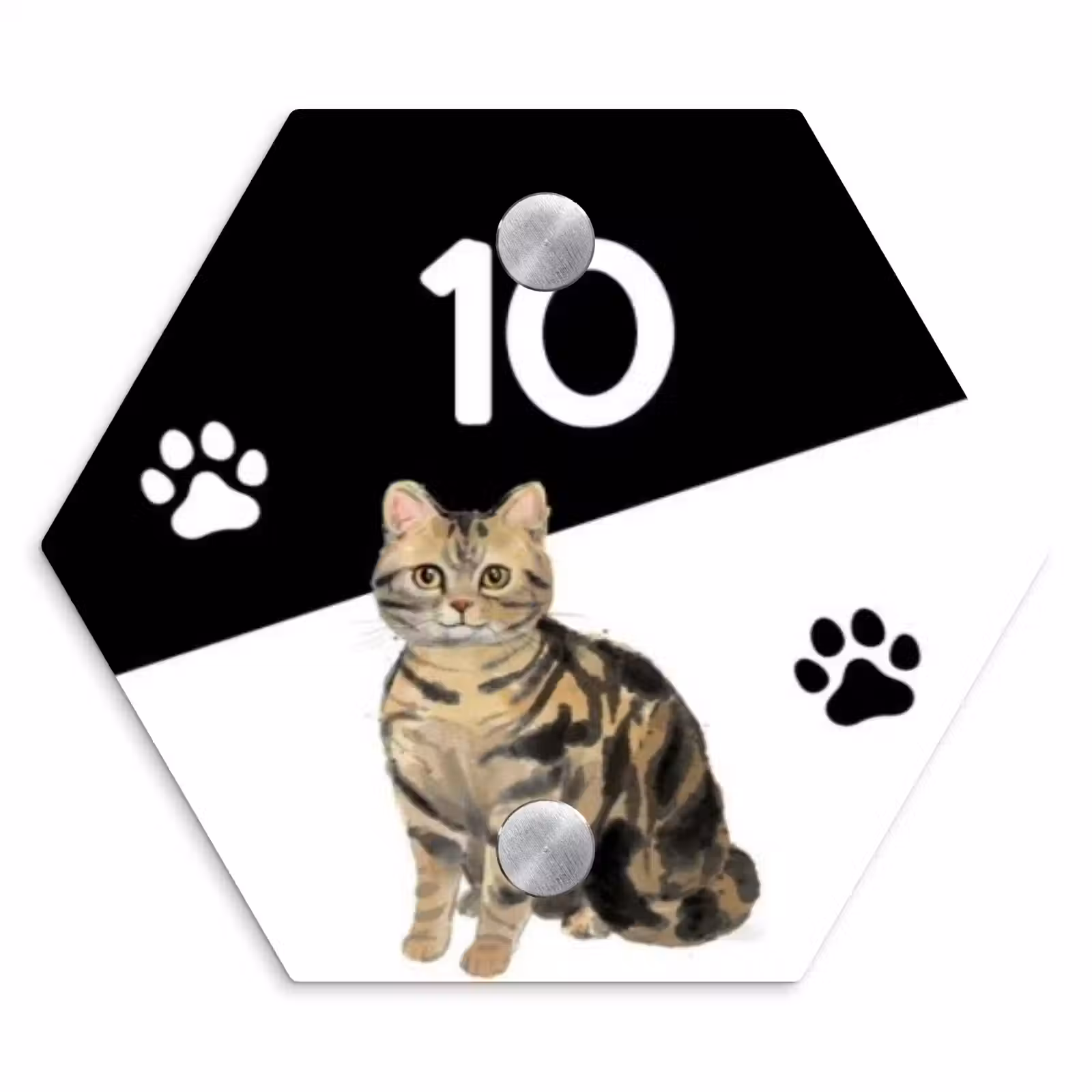 Naambordje voordeur - Hexagon - Zwart wit - Huisdier - Bruingestreepte kat — 1