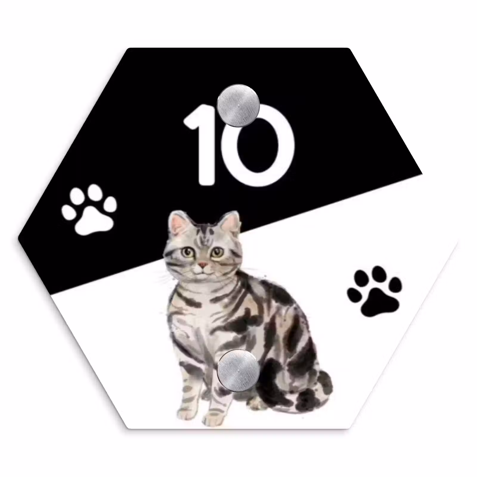 Naambordje voordeur - Hexagon - Zwart wit - Huisdier - Zilvergrijs gestreepte kat — 1