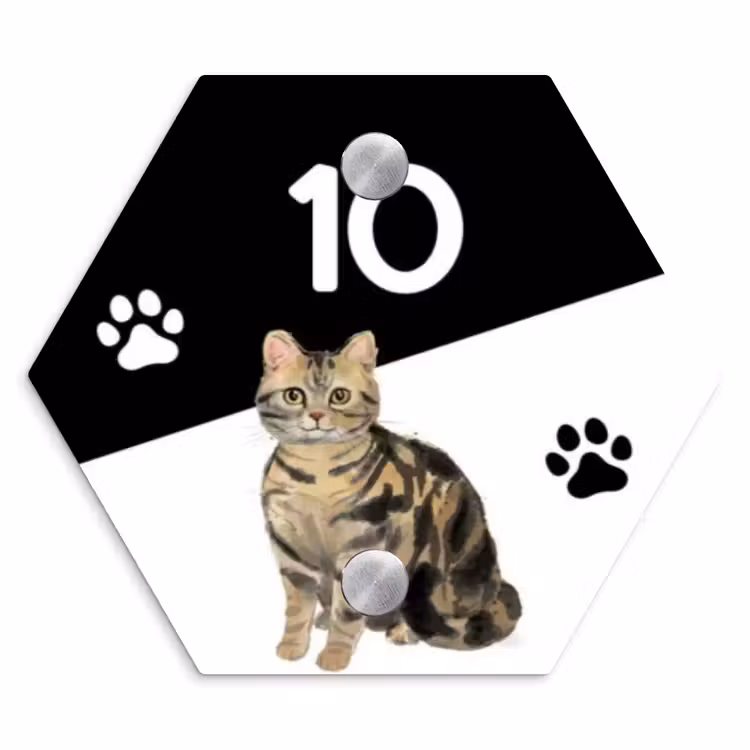 Naambordje voordeur - Hexagon - Zwart wit - Huisdier - Bruingestreepte kat — 1