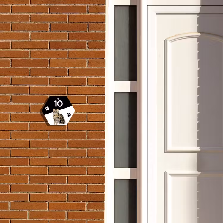 Naambordje voordeur - Hexagon - Zwart wit - Huisdier - Bruingestreepte kat — 2