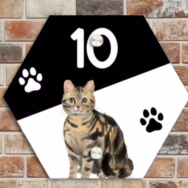 Naambordje voordeur - Hexagon - Zwart wit - Huisdier - Bruingestreepte kat — 4