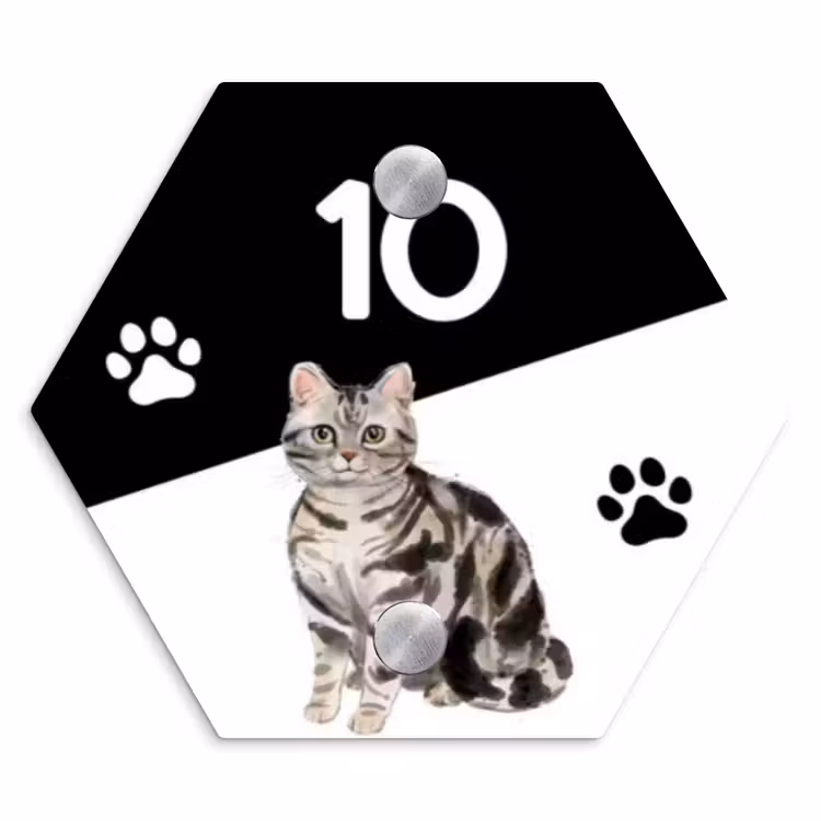 Naambordje voordeur - Hexagon - Zwart wit - Huisdier - Zilvergrijs gestreepte kat — 1