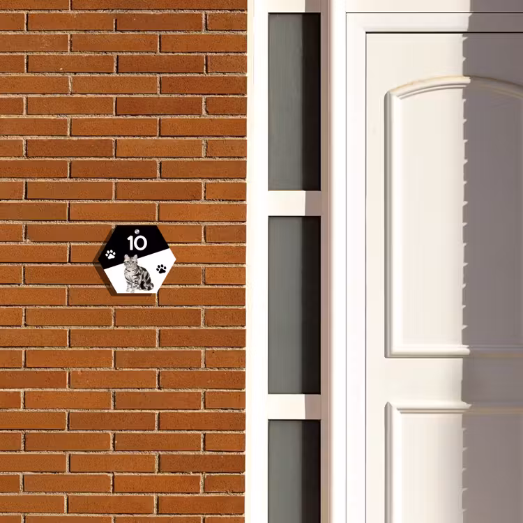 Naambordje voordeur - Hexagon - Zwart wit - Huisdier - Zilvergrijs gestreepte kat — 2