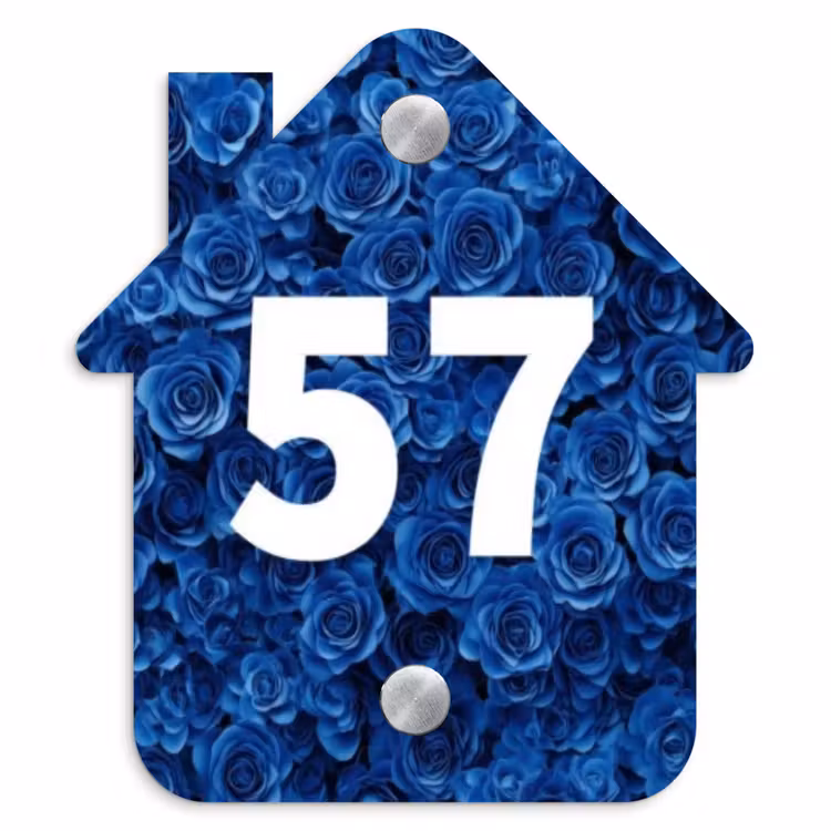 Naambordje voordeur - Huisjesvorm - Blauwe rozen - Traditioneel — 1
