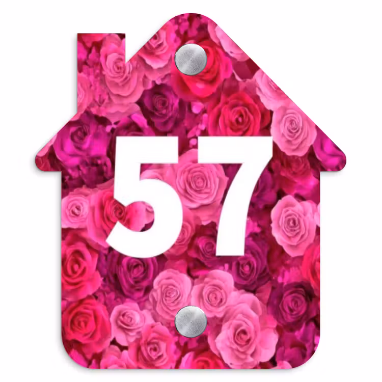 Naambordje voordeur - Huisjesvorm - Roze rozen - Traditioneel — 1