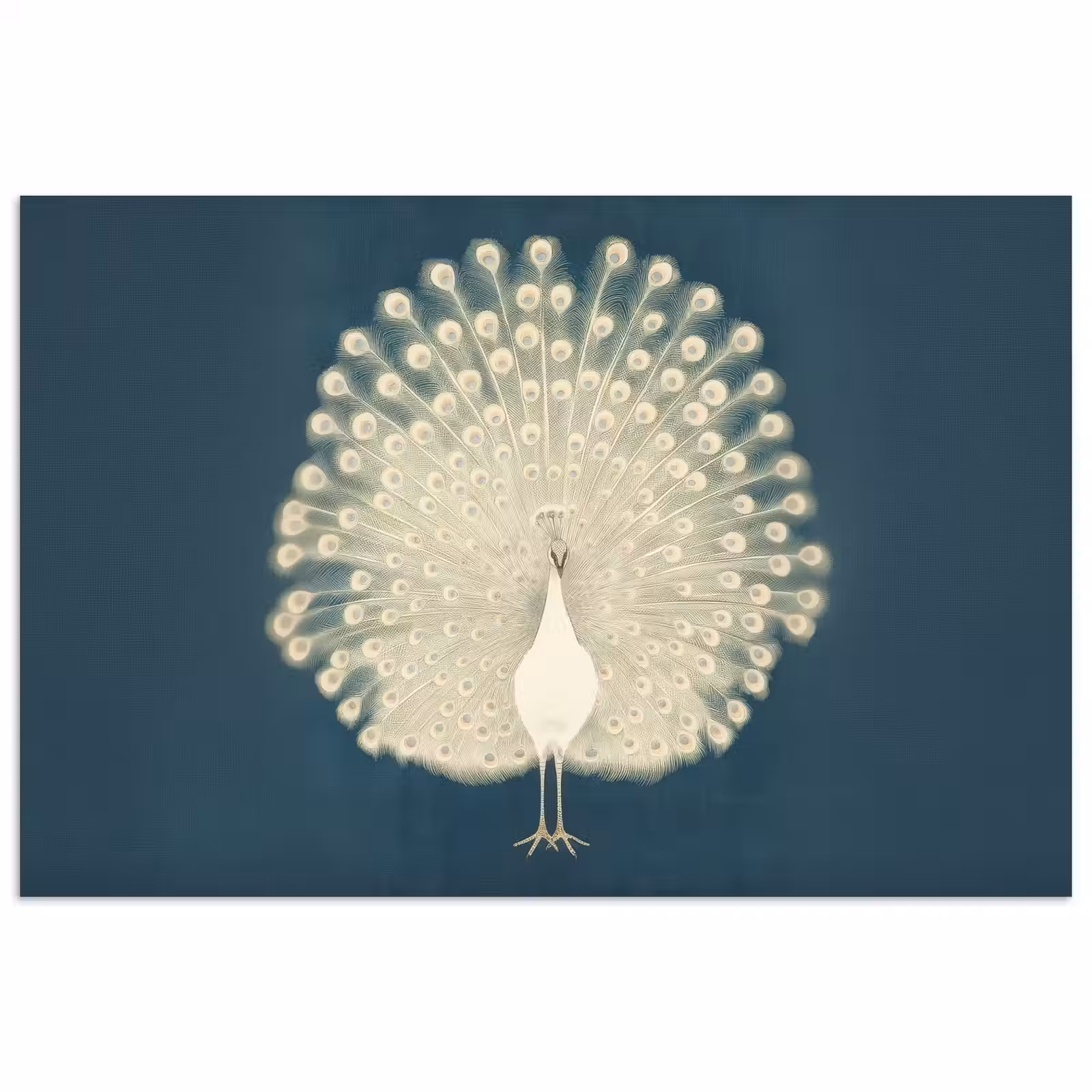 Poster – Vogel - Blauw - Vintage — 1