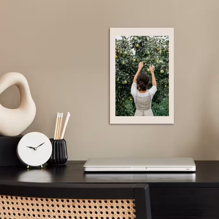 Poster – Boom - Appels - Plukken - Natuur — 2
