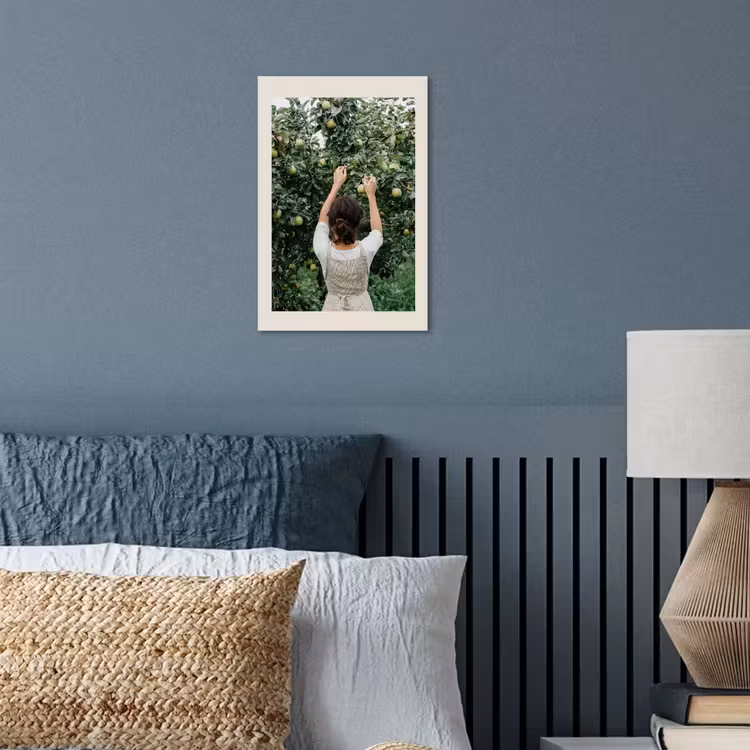 Poster – Boom - Appels - Plukken - Natuur — 3