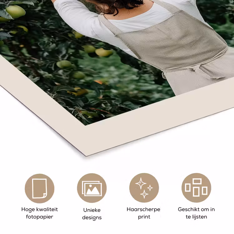 Poster – Boom - Appels - Plukken - Natuur — 5