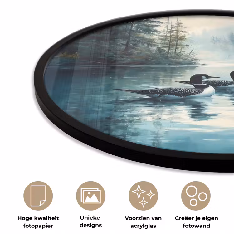 Ronde fotolijst - Bos - Water - Eenden - Mistig — 2