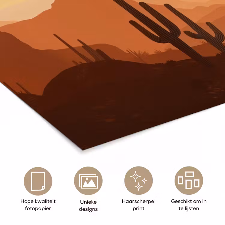 Poster – Landschap - Woestijn - Cactussen - Zon — 5