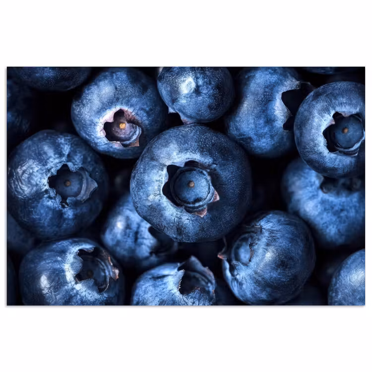 Poster – Bessen - Blauw - Fruit — 1