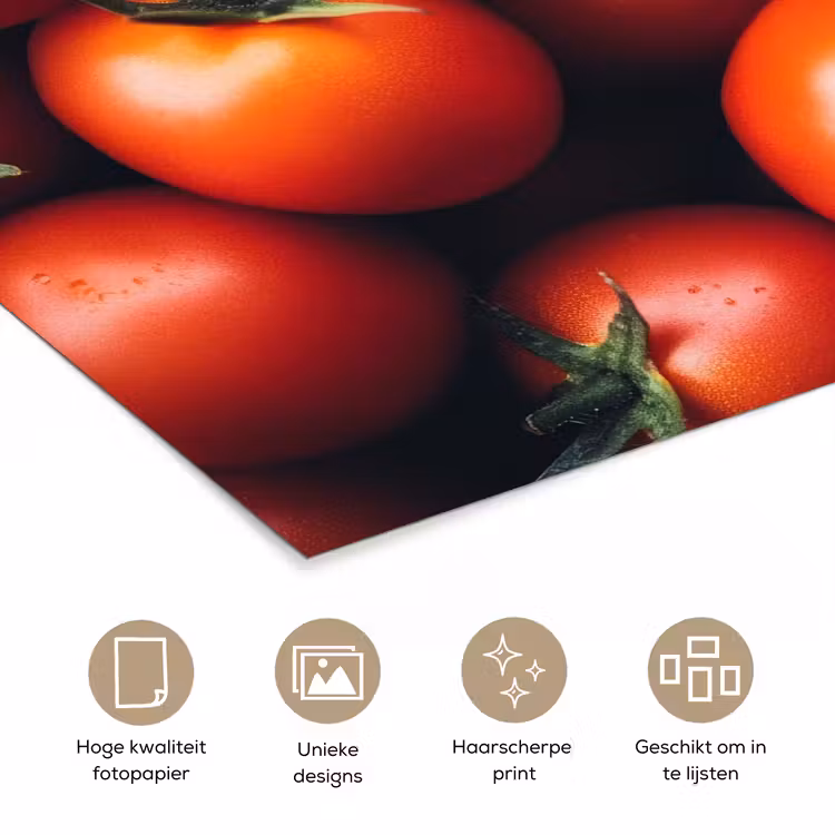 Poster – Groente - Rood - Tomaten — 5