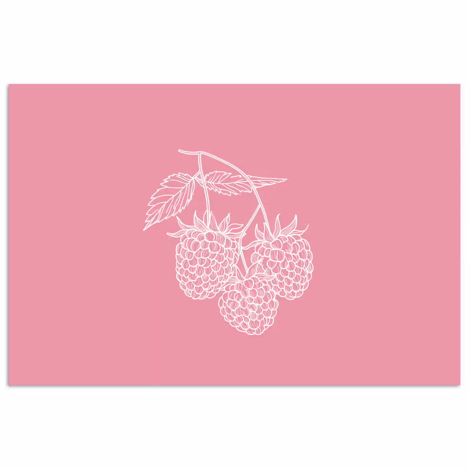 Poster – Frambozen - Steel - Getekend - Roze — 1