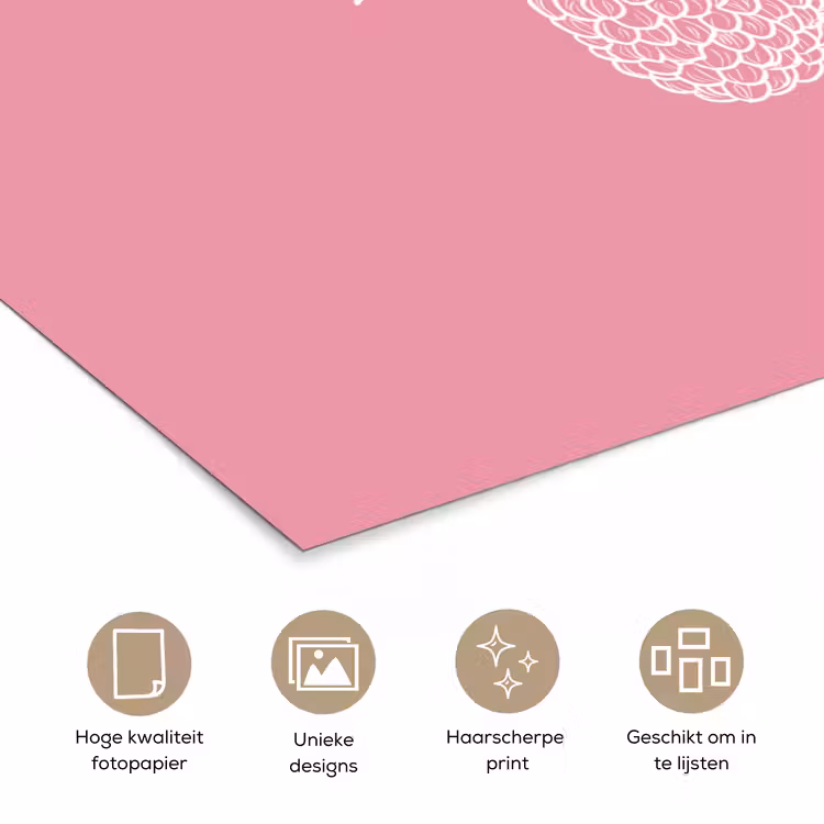 Poster – Frambozen - Steel - Getekend - Roze — 5