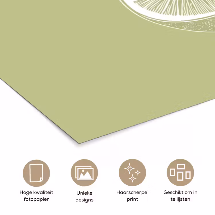 Poster – Kiwi - Lijntekening - Minimalistisch - Groen — 5