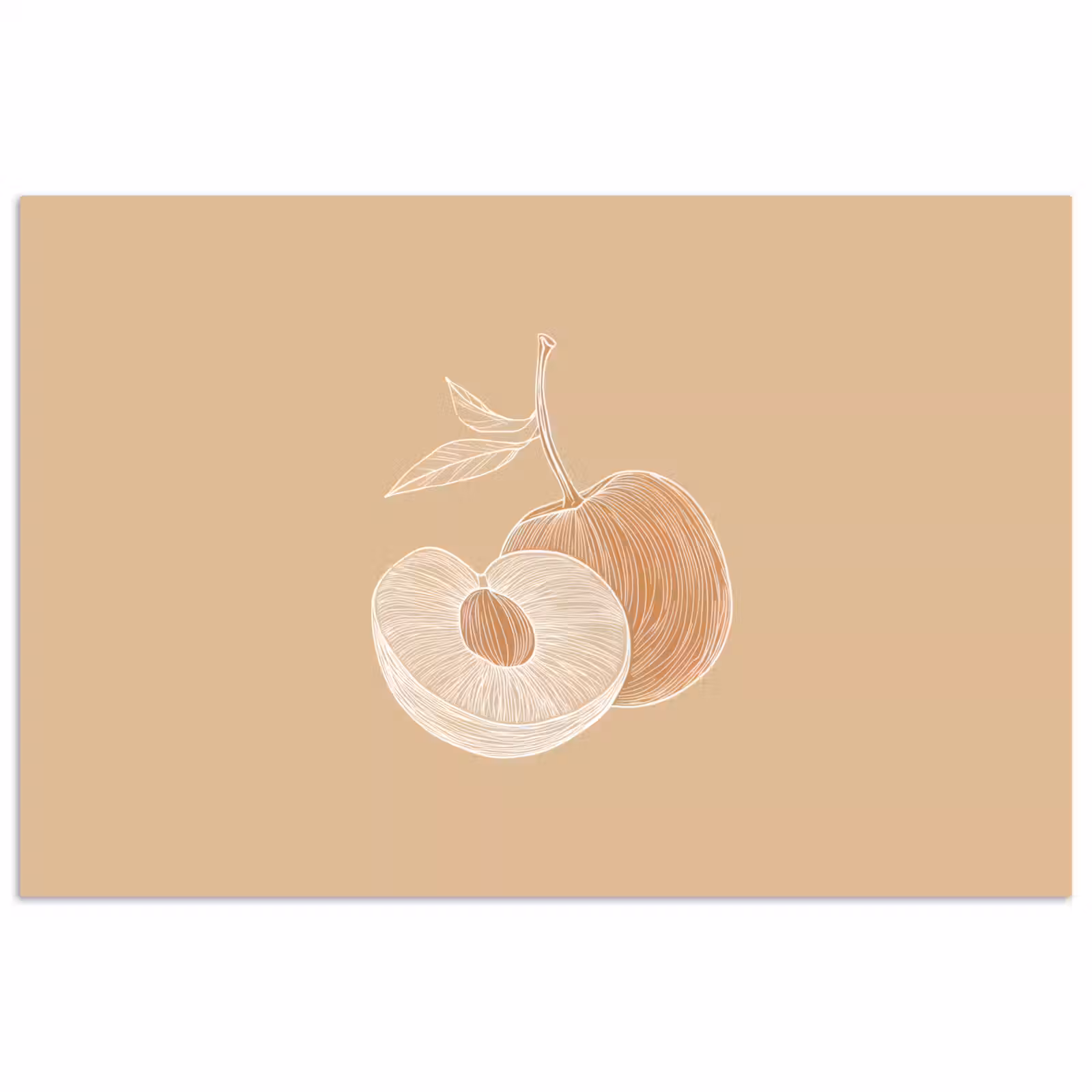 Poster – Perzik - Lijntekening - Pit - Beige — 1