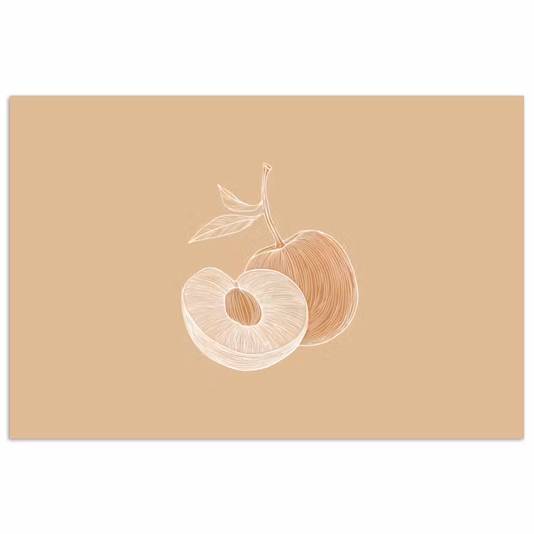 Poster – Perzik - Lijntekening - Pit - Beige — 1