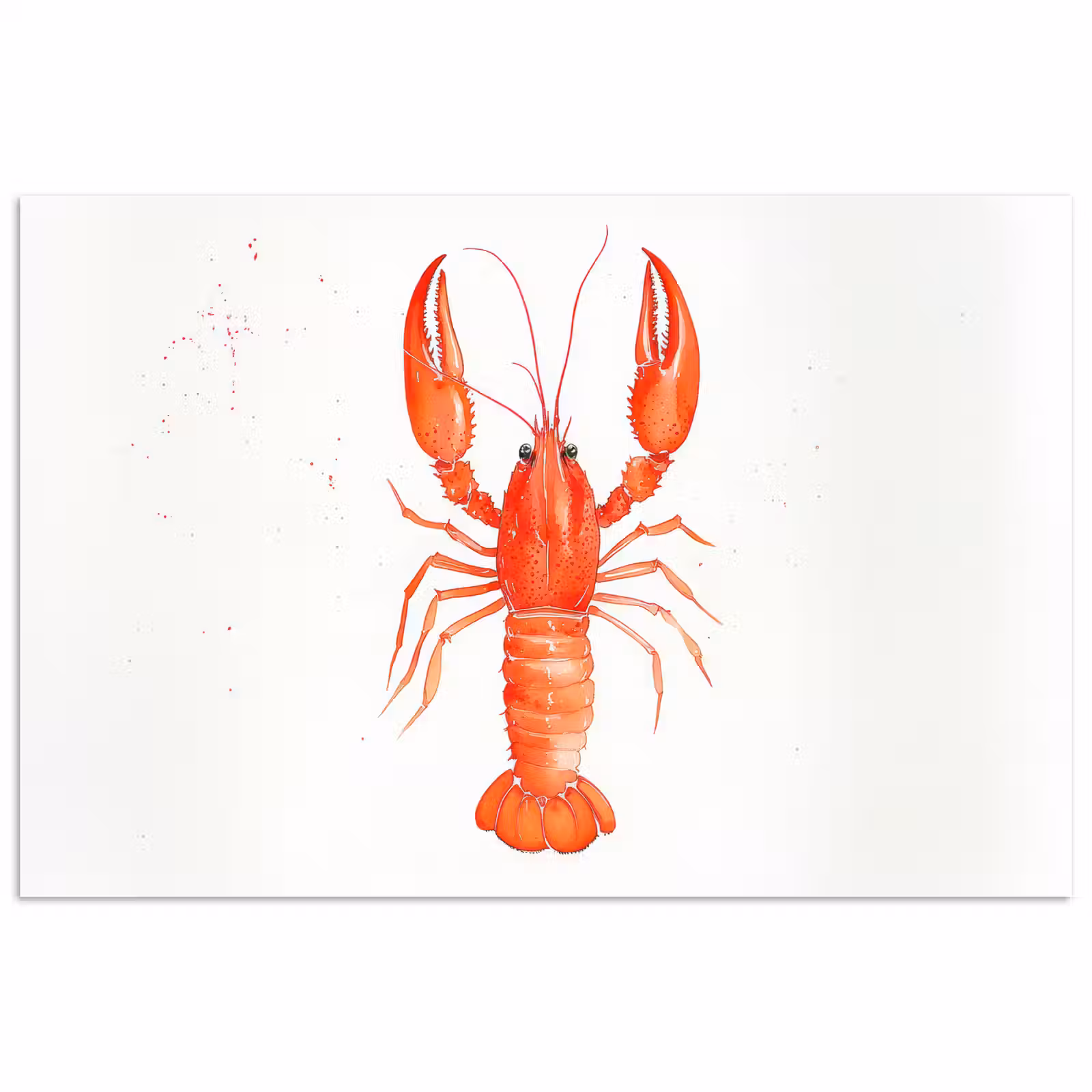 Poster – Kreeft - Waterverf - Aquarel - Oranje — 1